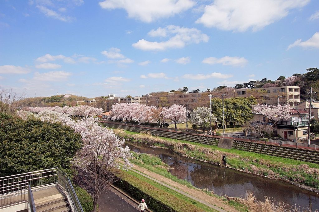 東京都世田谷区